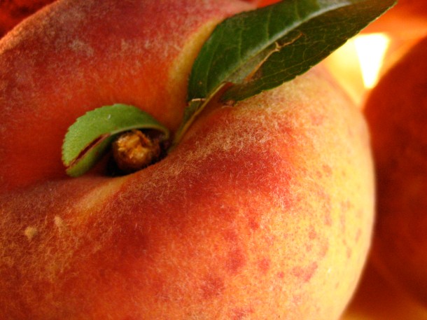 August's Luscious Peach
